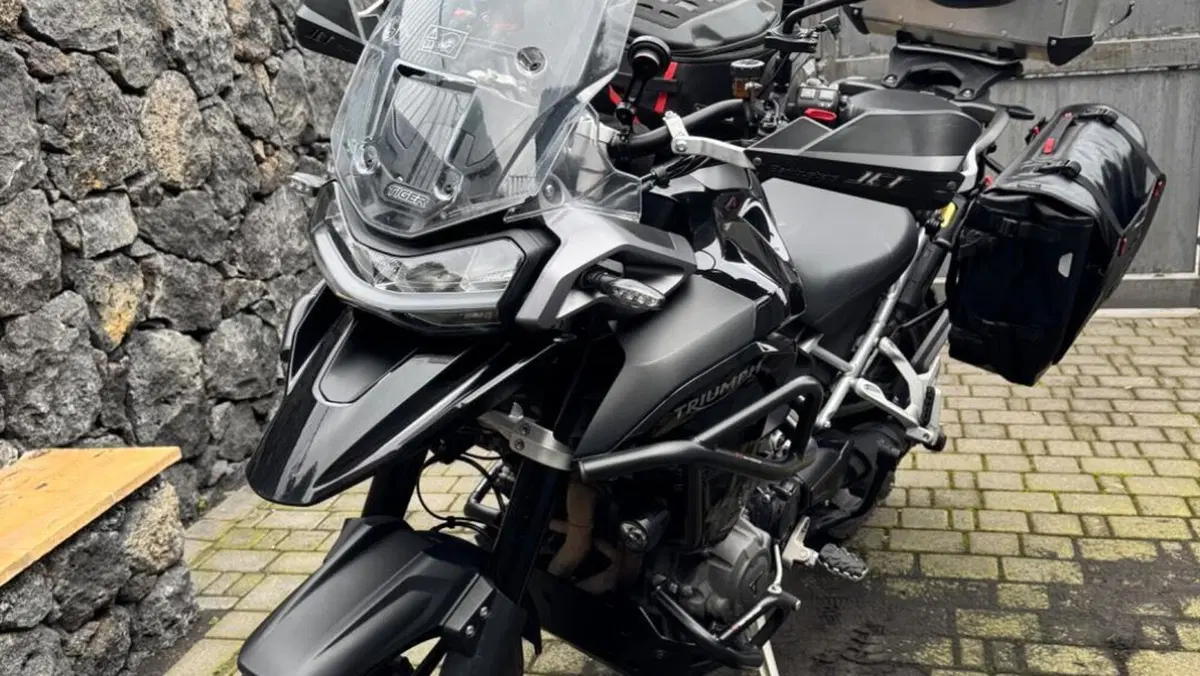Triumph Tiger 1200 GT Pro (2022 - 23)  (11)