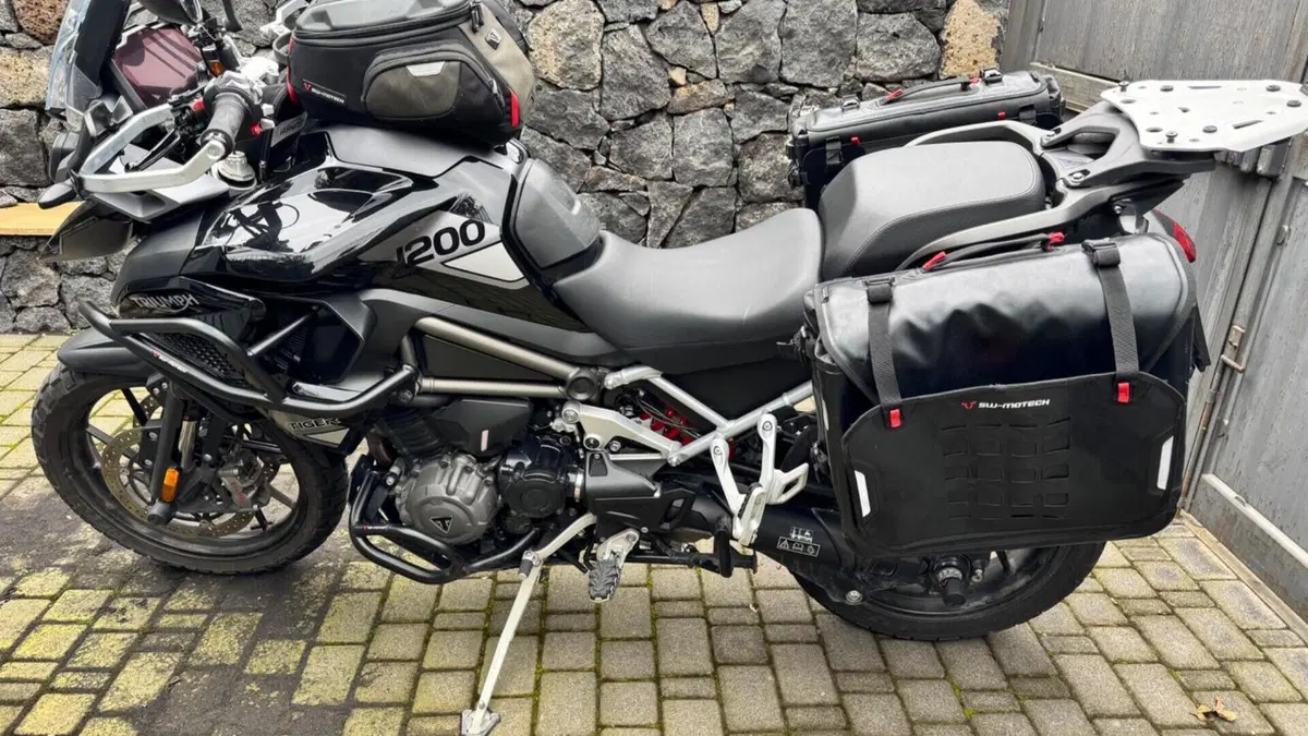 Triumph Tiger 1200 GT Pro (2022 - 23)  (12)