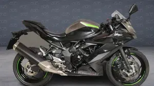 Kawasaki Ninja 125 (2021 - 24) 