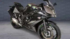 Kawasaki Ninja 125 (2021 - 24)  (2)