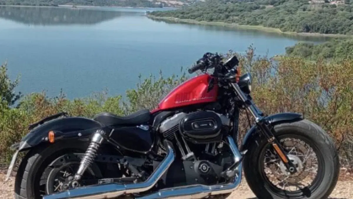 Harley-Davidson 1200 Forty-Eight (2010 - 15)  (2)