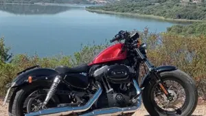 Harley-Davidson 1200 Forty-Eight (2010 - 15)  (2)
