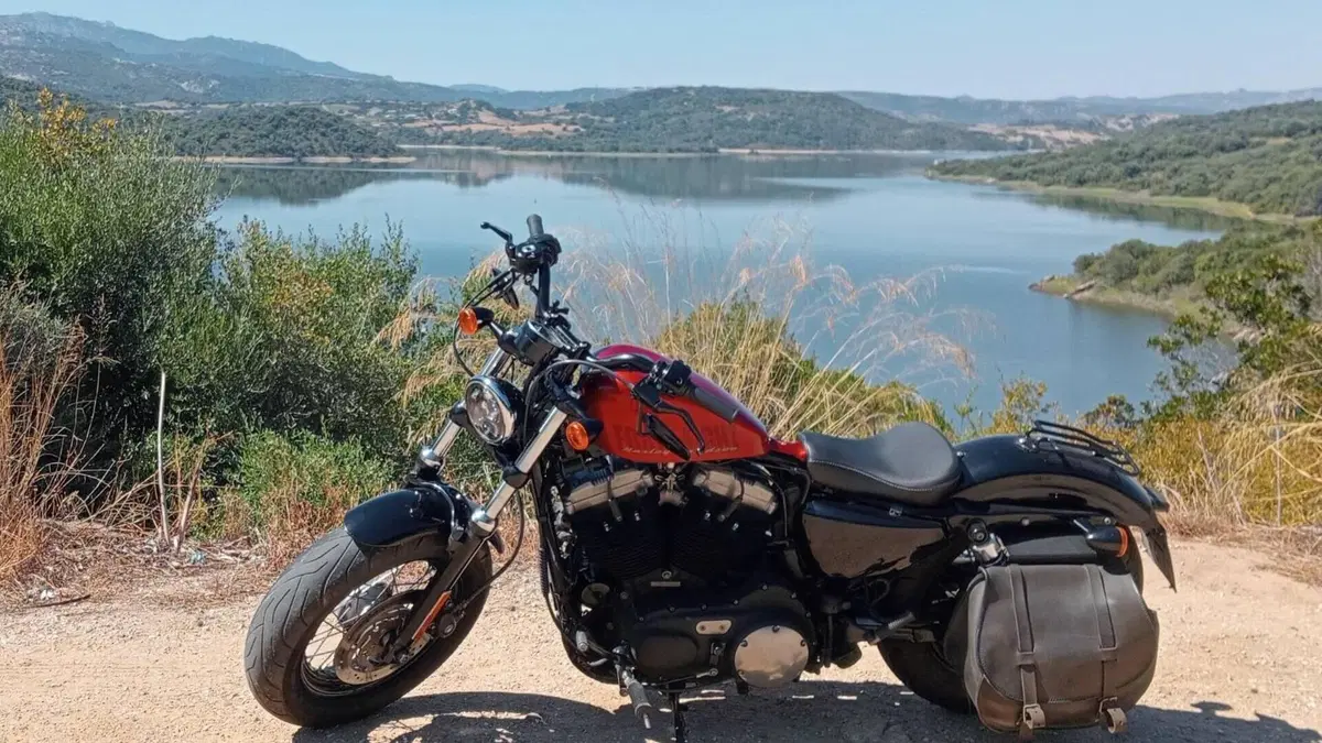 Harley-Davidson 1200 Forty-Eight (2010 - 15)  (3)