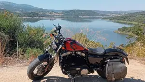 Harley-Davidson 1200 Forty-Eight (2010 - 15)  (3)