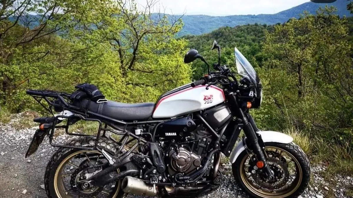 Yamaha XSR 700 XTribute (2019 - 20)  (4)
