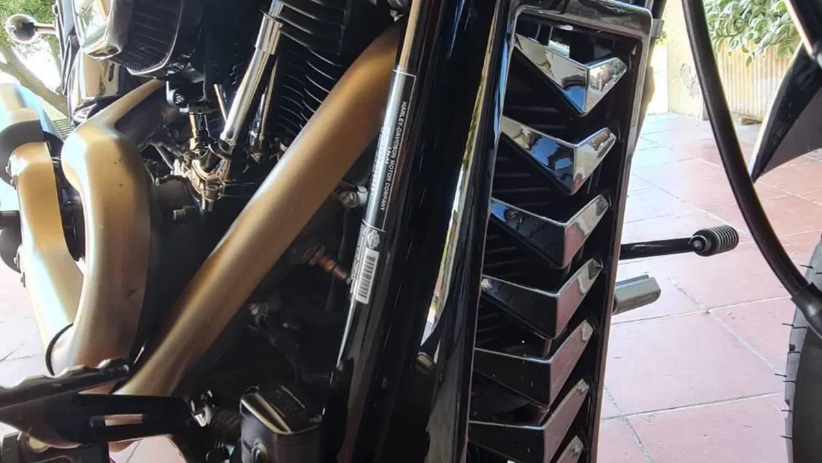 Harley-Davidson Fat Bob 114 (2021 - 25)  (5)