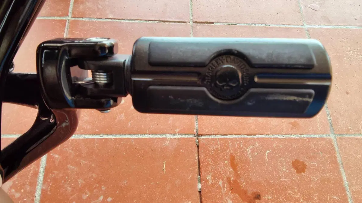 Harley-Davidson Fat Bob 114 (2021 - 25)  (12)