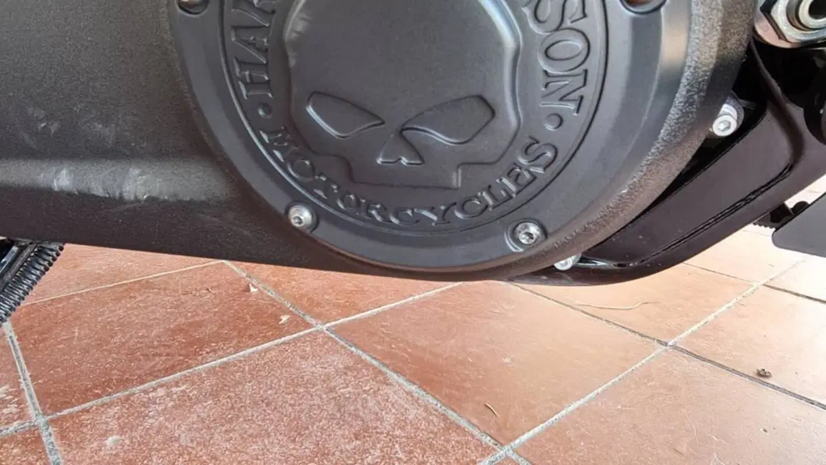 Harley-Davidson Fat Bob 114 (2021 - 25)  (14)