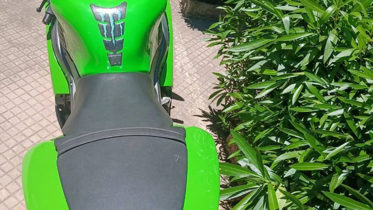 Kawasaki Ninja 636 ZX-6R (2005 - 06)  (4)