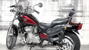 Kawasaki EN 500 (1991 - 96)  (2)