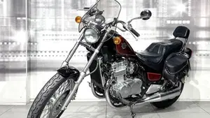 Kawasaki EN 500 (1991 - 96)  (7)