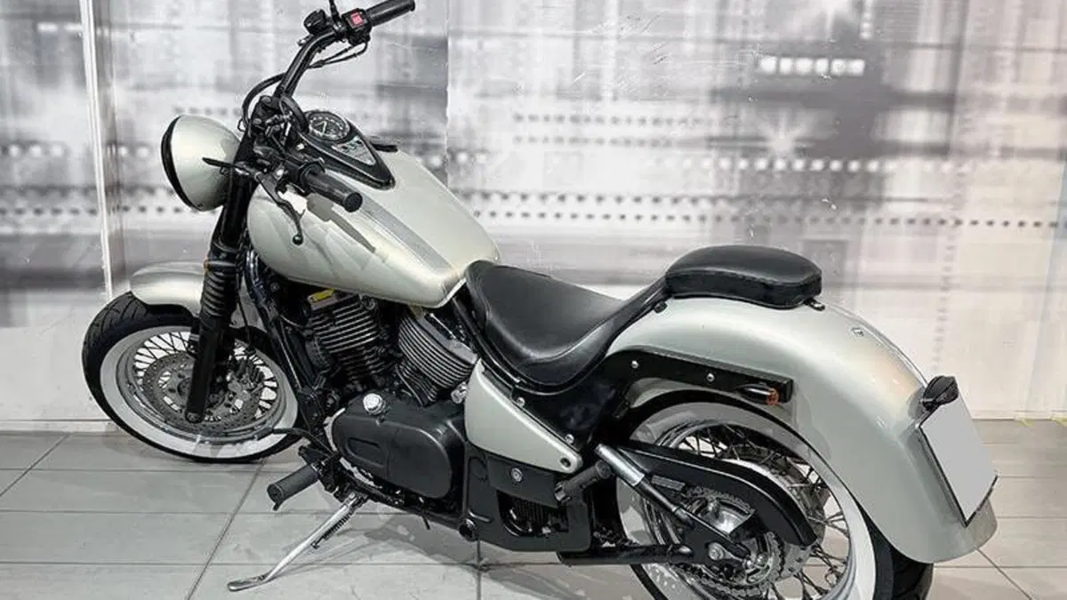 Kawasaki VN 800 (1995 - 98)  (2)