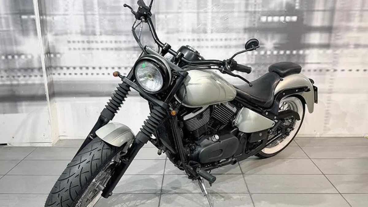 Kawasaki VN 800 (1995 - 98)  (7)