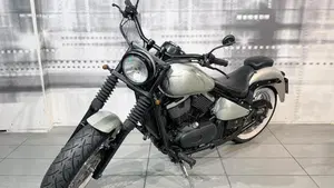 Kawasaki VN 800 (1995 - 98)  (7)