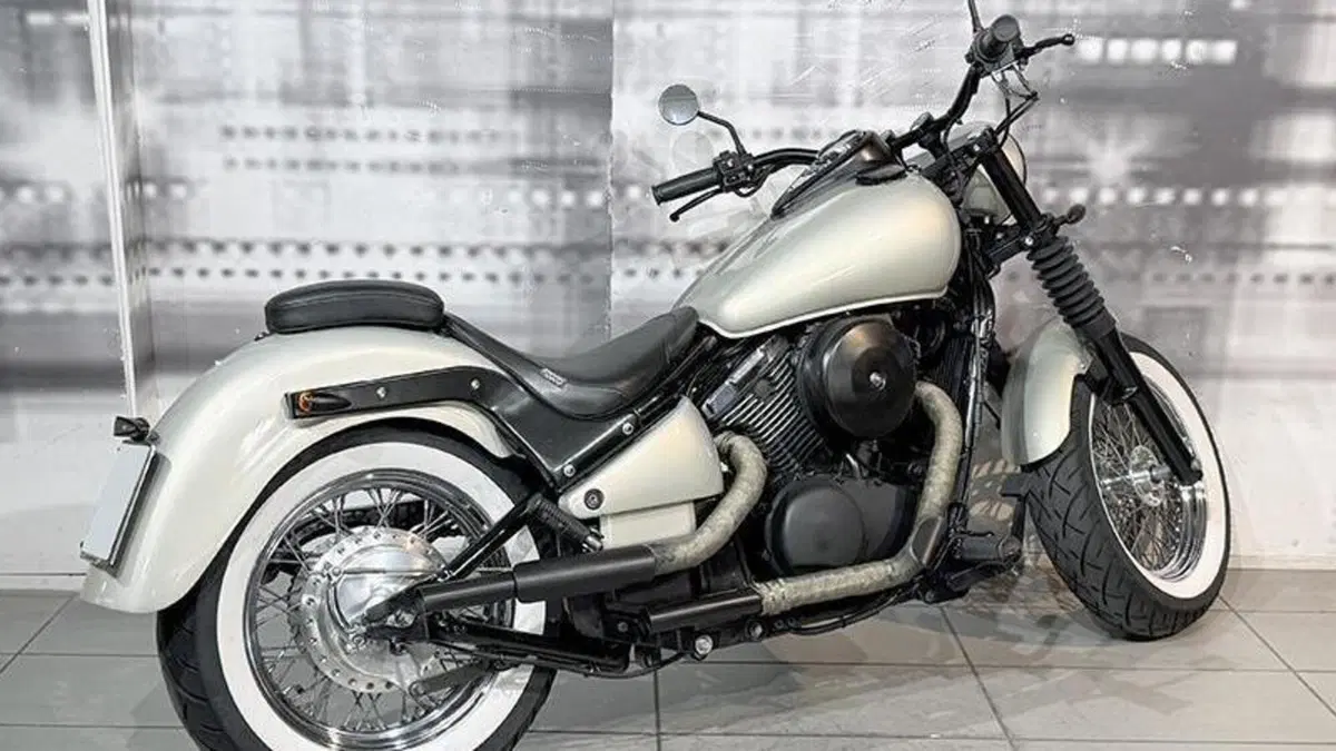 Kawasaki VN 800 (1995 - 98)  (8)