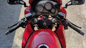 Triumph   (6)