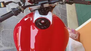 Ducati Monster 1200 S Stripe (2014 - 15)  (5)
