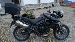 Triumph Tiger 800 XC ABS (2010 - 14)  (8)