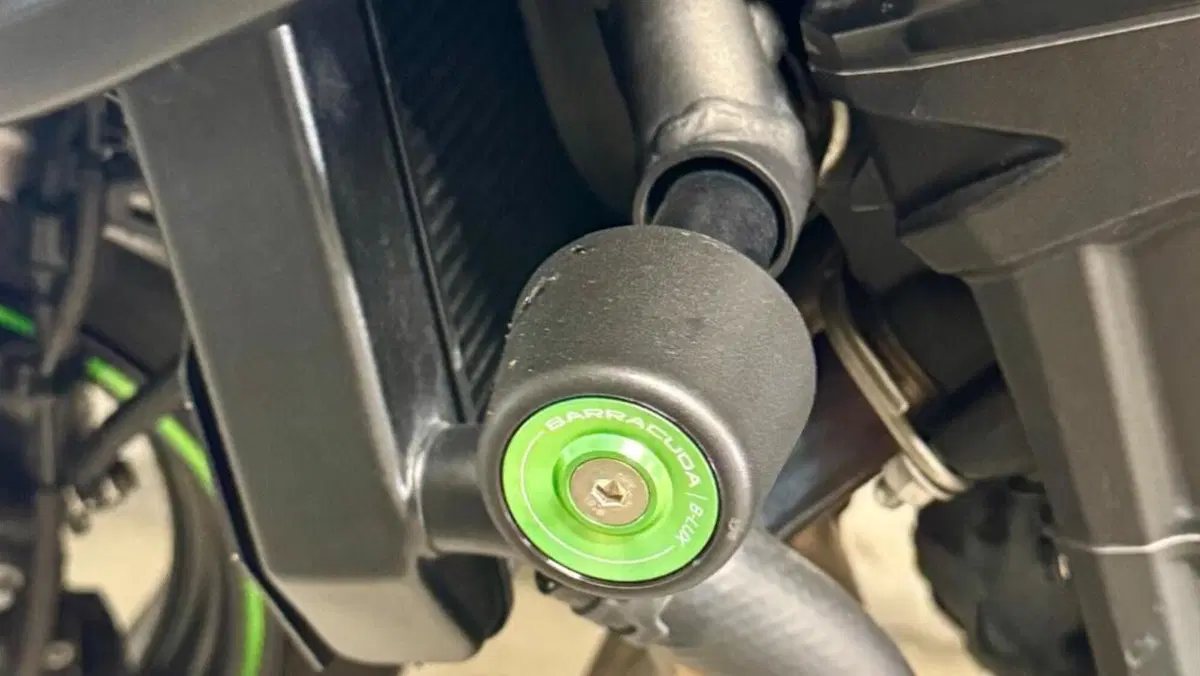 Kawasaki Z 900 (2019)  (7)