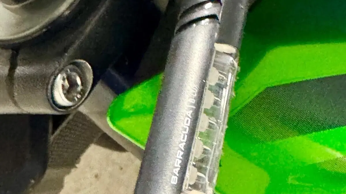 Kawasaki Z 900 (2019)  (9)