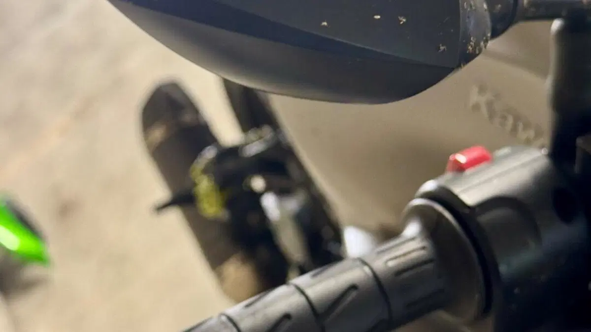 Kawasaki Z 900 (2019)  (10)