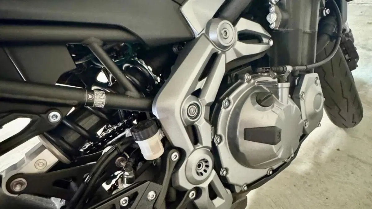 Kawasaki Z 900 (2019)  (12)