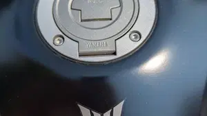 Yamaha MT-09 (2021 - 23)  (14)