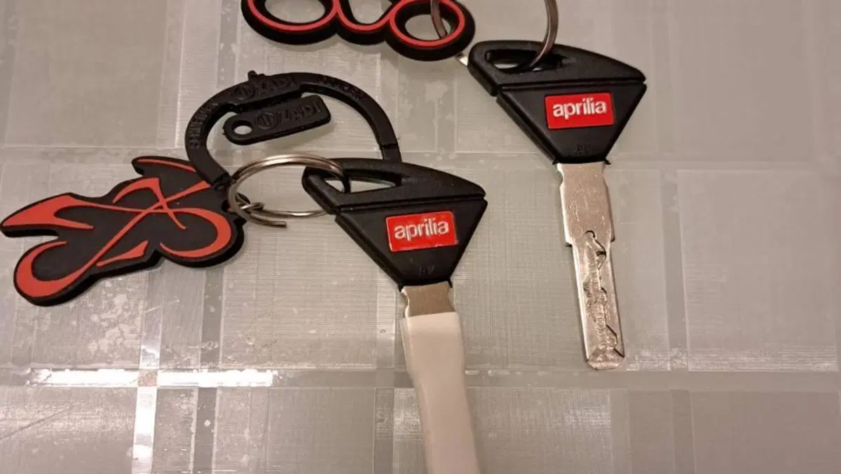 Aprilia RSV4 1100 (2021 - 24)  (8)