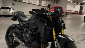 Suzuki GSX-S1000 (2021 - 25)  (4)