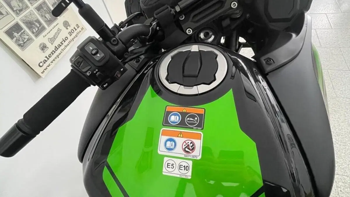 Kawasaki Versys 650 (2021 - 24)  (6)