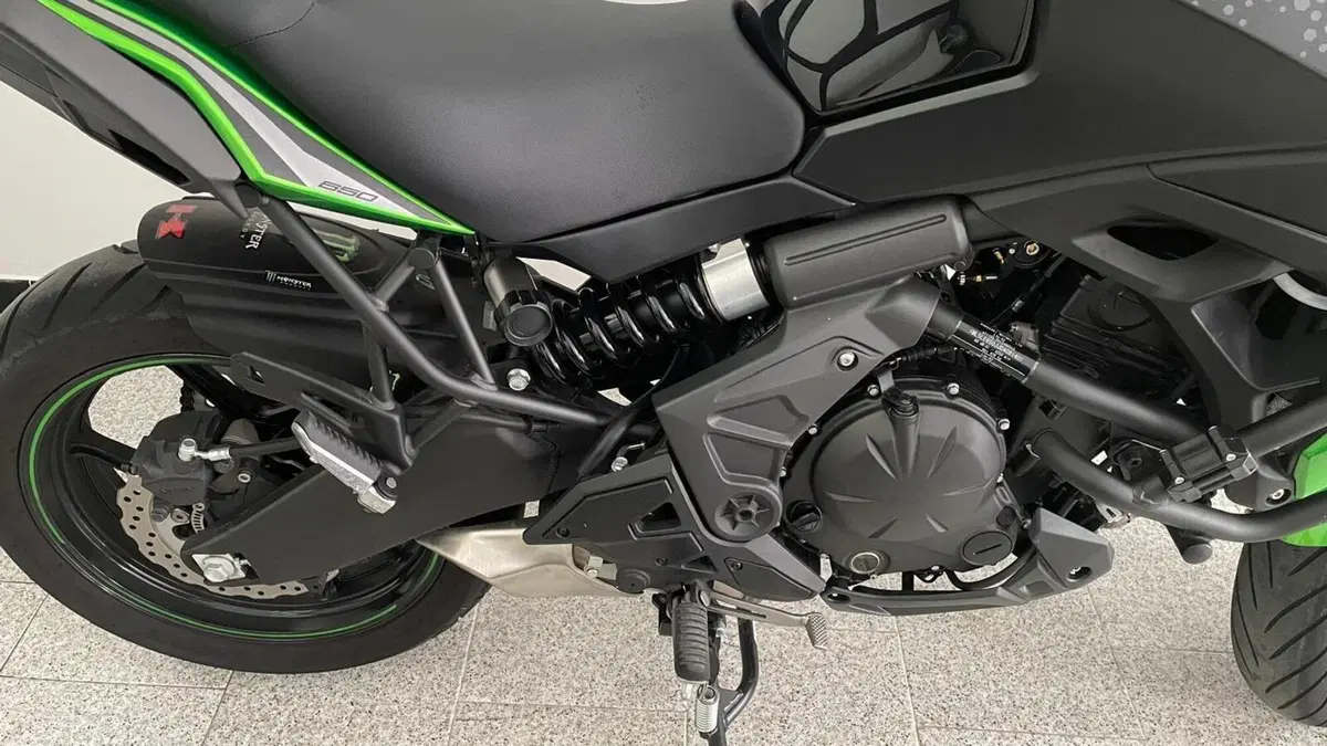 Kawasaki Versys 650 (2021 - 24)  (4)