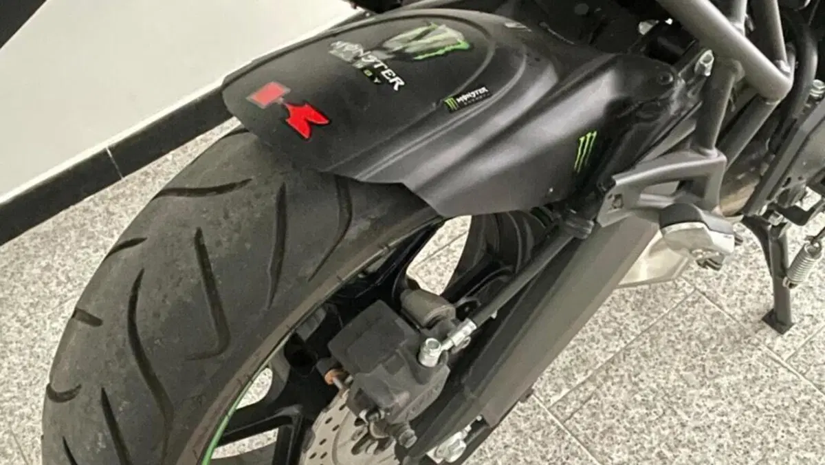 Kawasaki Versys 650 (2021 - 24)  (5)