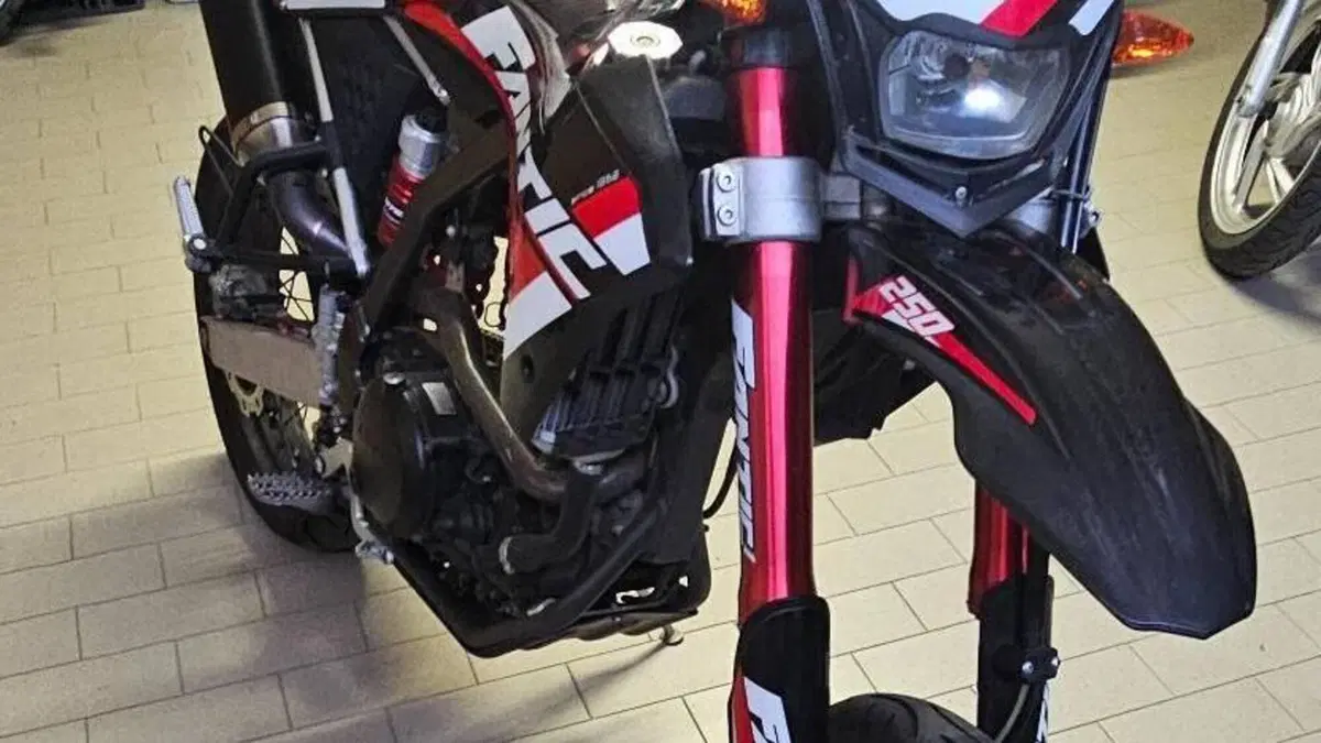 Fantic Motor Caballero 250 Flat Track (2018 - 21)  (3)