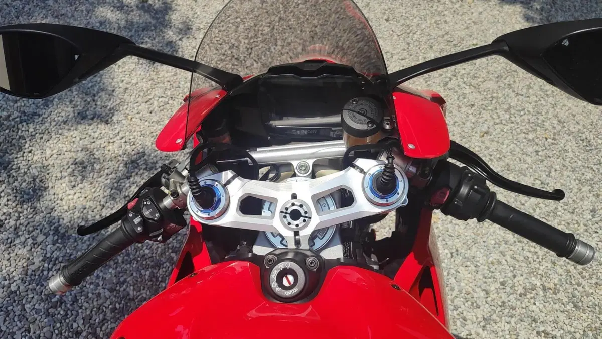 Ducati Panigale V4 S 1100 (2018 - 19)  (4)