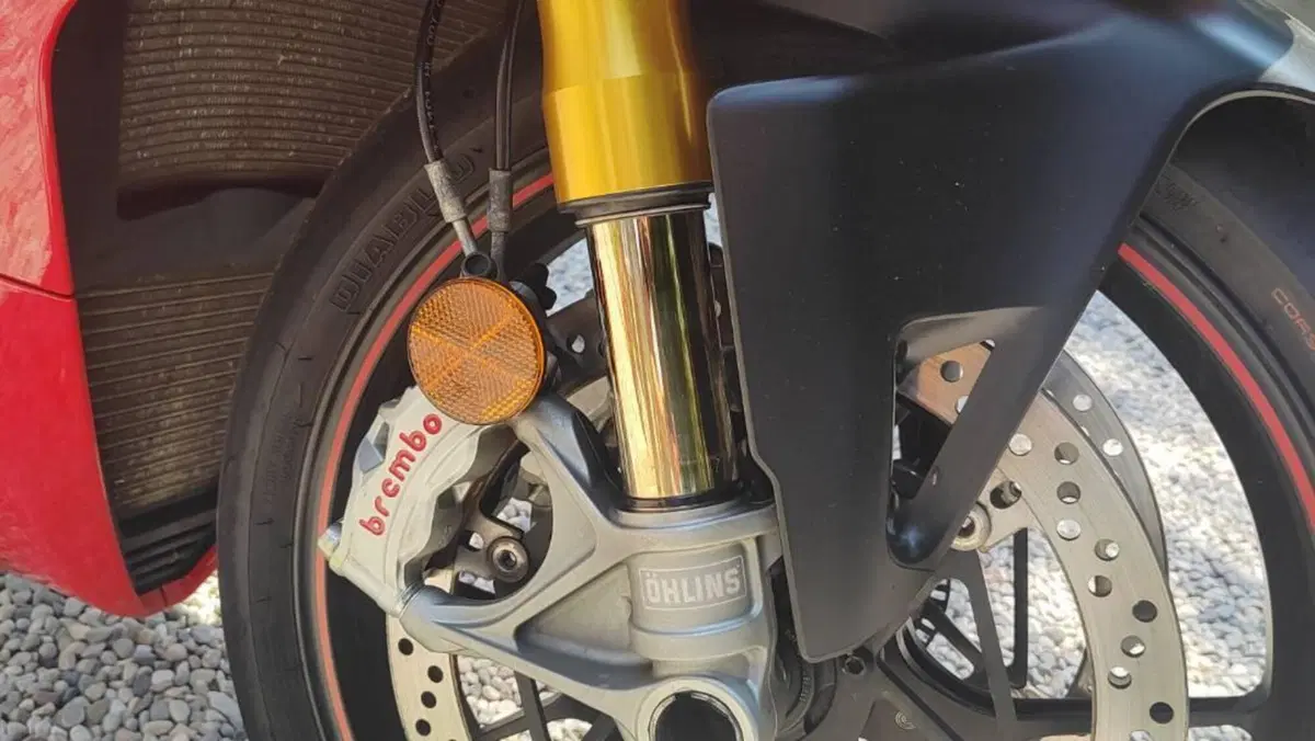 Ducati Panigale V4 S 1100 (2018 - 19)  (6)
