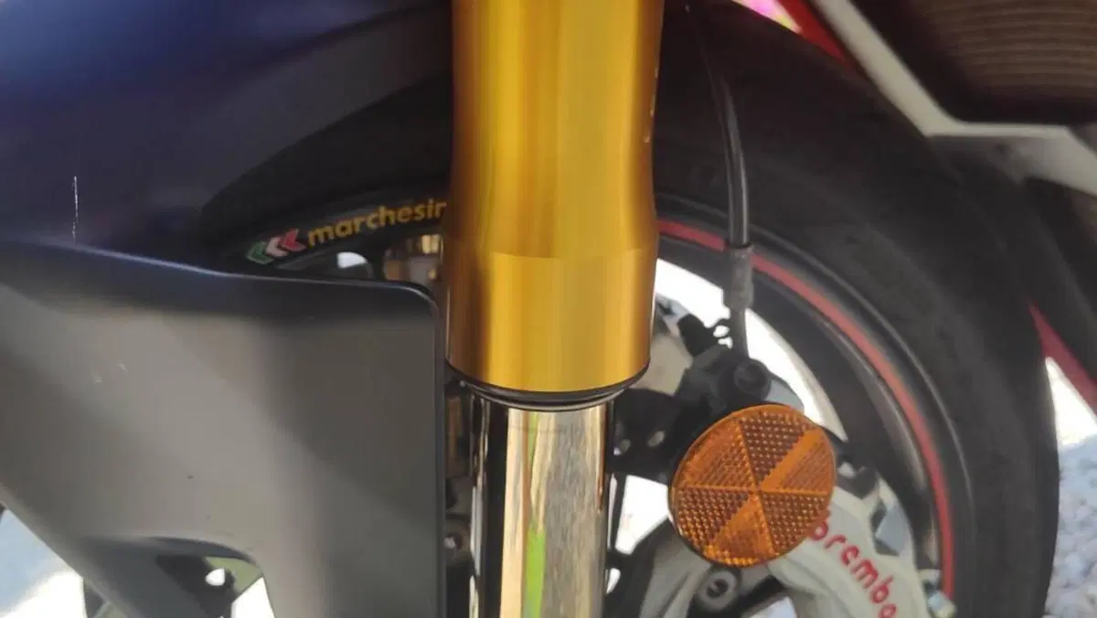 Ducati Panigale V4 S 1100 (2018 - 19)  (7)