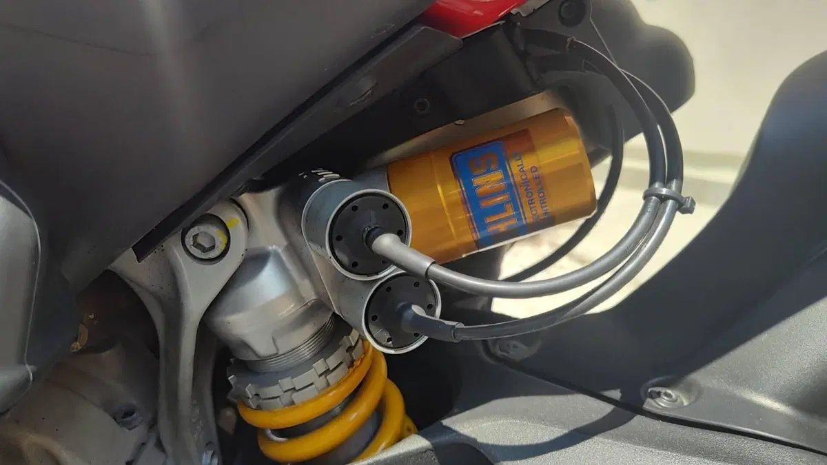 Ducati Panigale V4 S 1100 (2018 - 19)  (8)