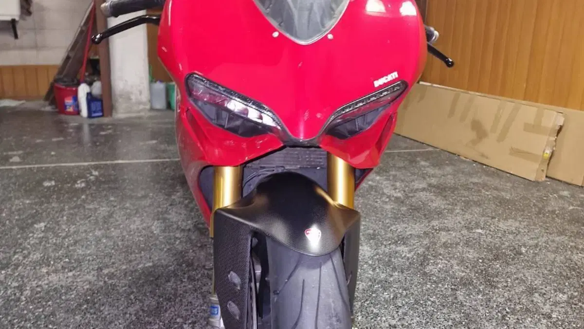 Ducati 1199 Panigale S ABS (2013 - 14)  (4)