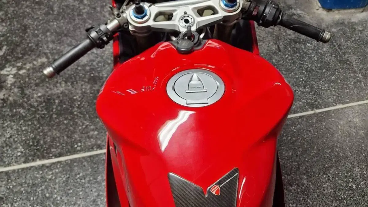 Ducati 1199 Panigale S ABS (2013 - 14)  (6)