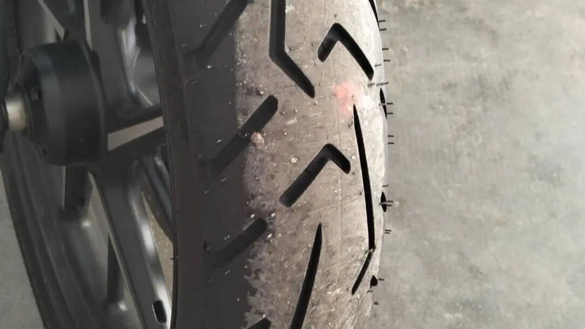 Triumph Street Twin 900 (2019 - 20)  (2)