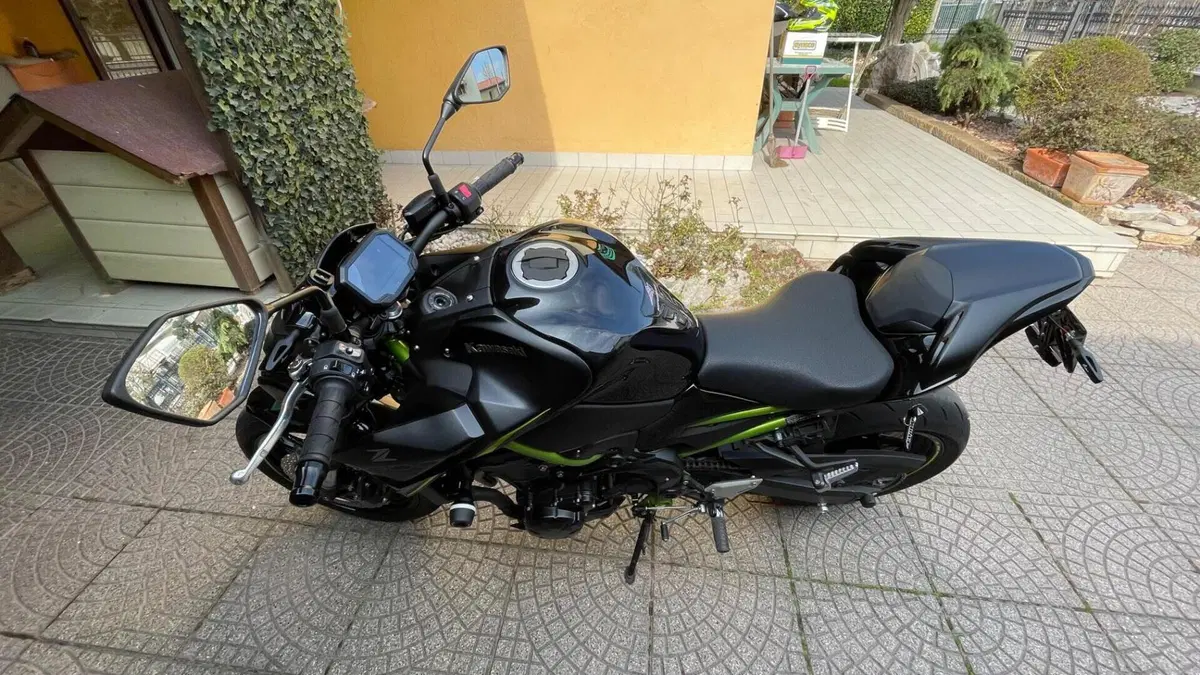 Kawasaki Z 900 (2021 - 24)  (6)
