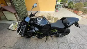 Kawasaki Z 900 (2021 - 24)  (6)