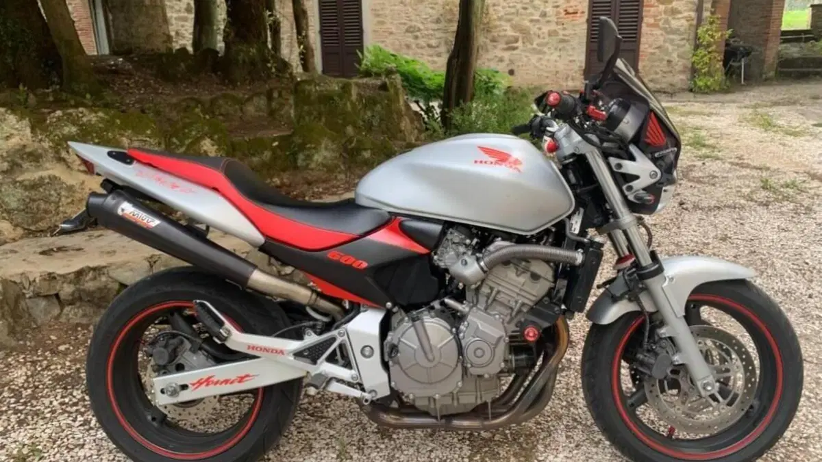 Honda Hornet 600 (2003 - 04)  (10)