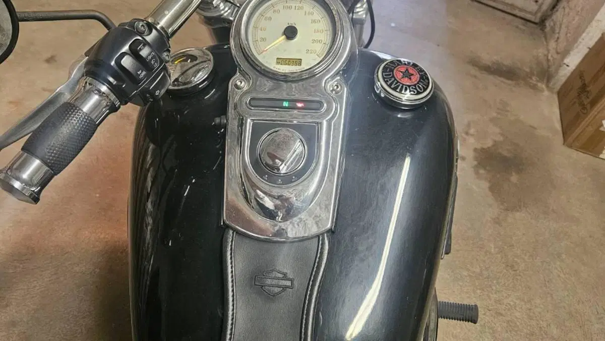 Harley-Davidson 1584 Fat Bob (2007 - 13) - FXDF  (4)