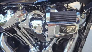 Harley-Davidson Low Rider ST (2025 - 26)  (3)