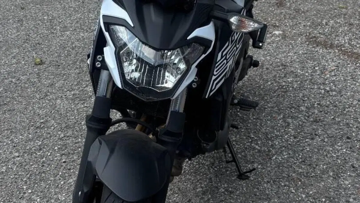 Kawasaki Z 650 (2017 - 19)  (2)