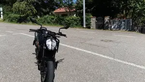 KTM 790 Duke (2018 - 20)  (4)