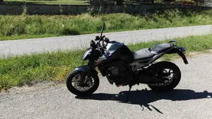 KTM 790 Duke (2018 - 20)  (5)