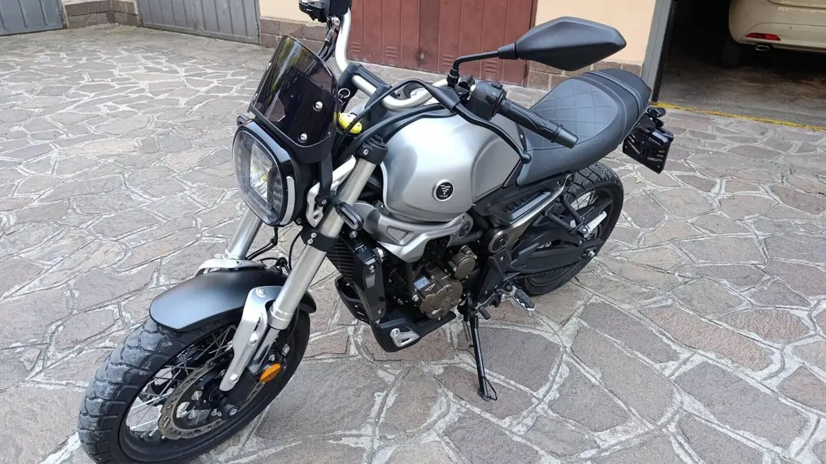 Voge Trofeo 300ACX Scrambler (2021 - 26)  (3)