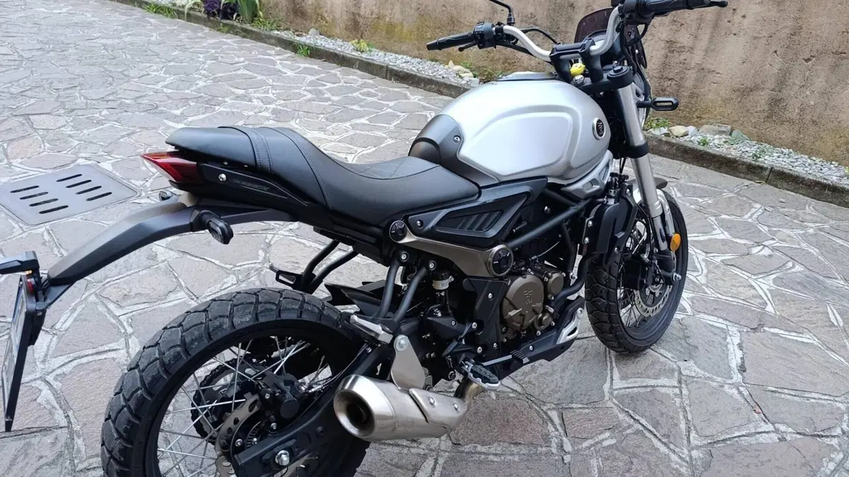 Voge Trofeo 300ACX Scrambler (2021 - 26)  (5)
